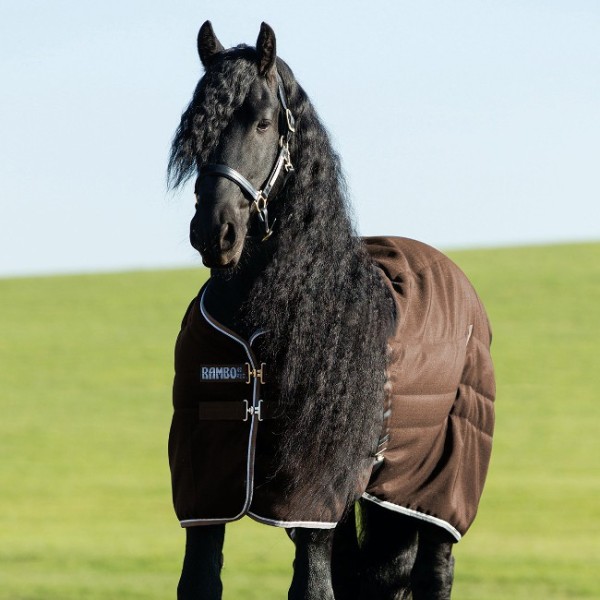 HORSEWARE Rambo Stable Rug Heavy 400g-Brown 160cm