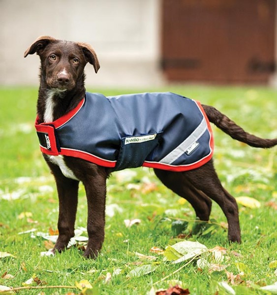 HORSEWARE Hundedecke Rambo Dogware Waterproof Dog Rug