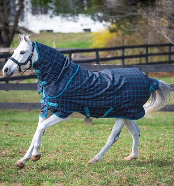 HORSEWARE Weidedecke Amigo Pony Plus 50g - Black Check/Silver