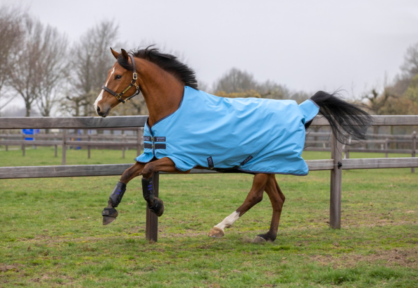 Capri/Gunmetal&Bluebell