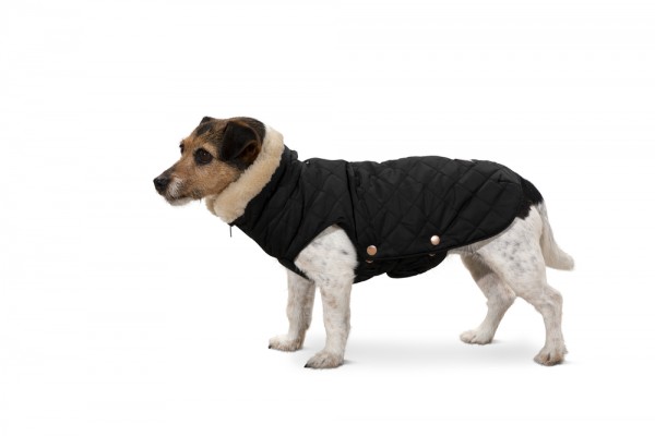 ESKADRON Hundemantel Glossy Quilted Heritage 2020