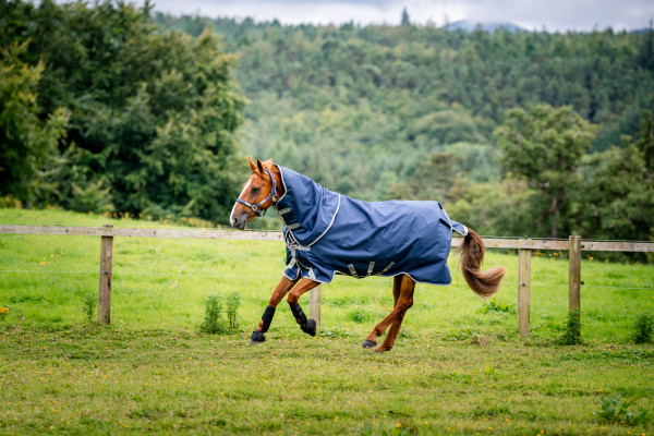 HORSEWARE Outdoordecke Amigo 1200D Plus Turnout 250g