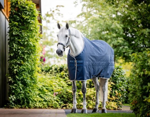 HORSEWARE Ionic Therapy Stable 50g