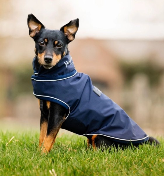 HORSEWARE Hunderegenmantel ' Signature Dog Rain Coat'