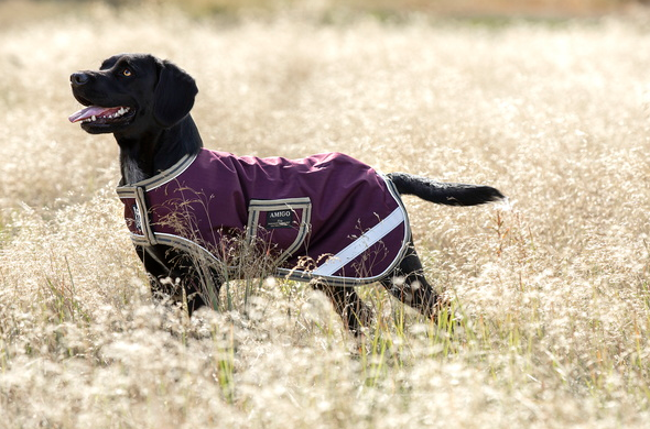 HORSEWARE Hundedecke Amigo DogRug Ripstop 100g