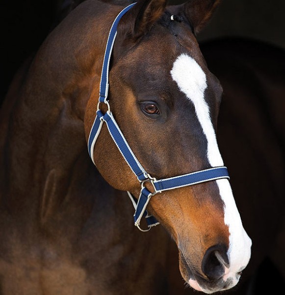 HORSEWARE Halfter Amigo