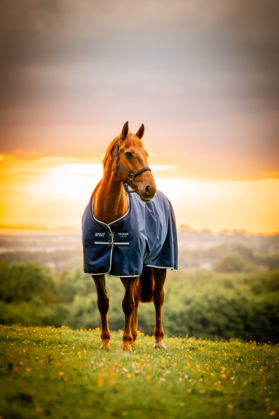 HORSEWARE Outdoordecke Amigo Ripstop 900D Turnout 100g